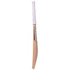 Salix Air Marque Cricket Bat